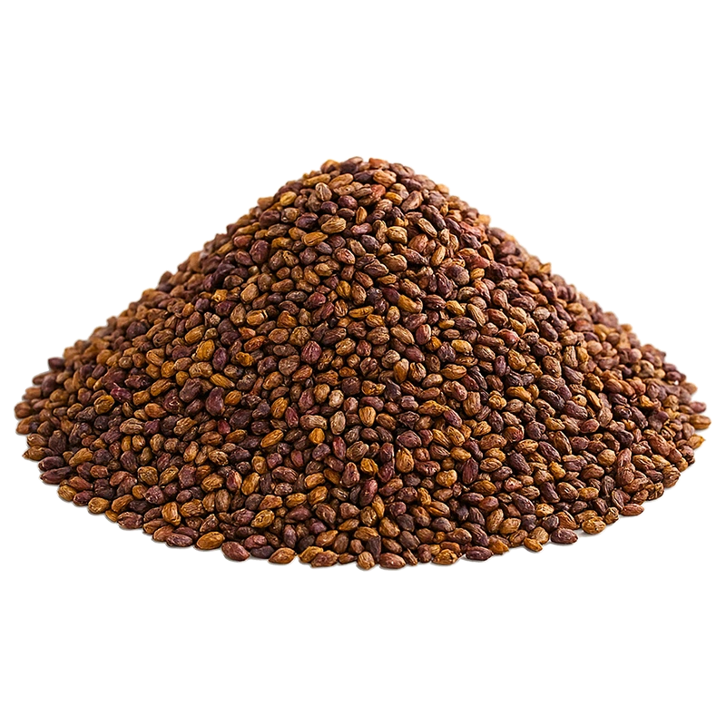 Semi d'uva Bono e Ditta